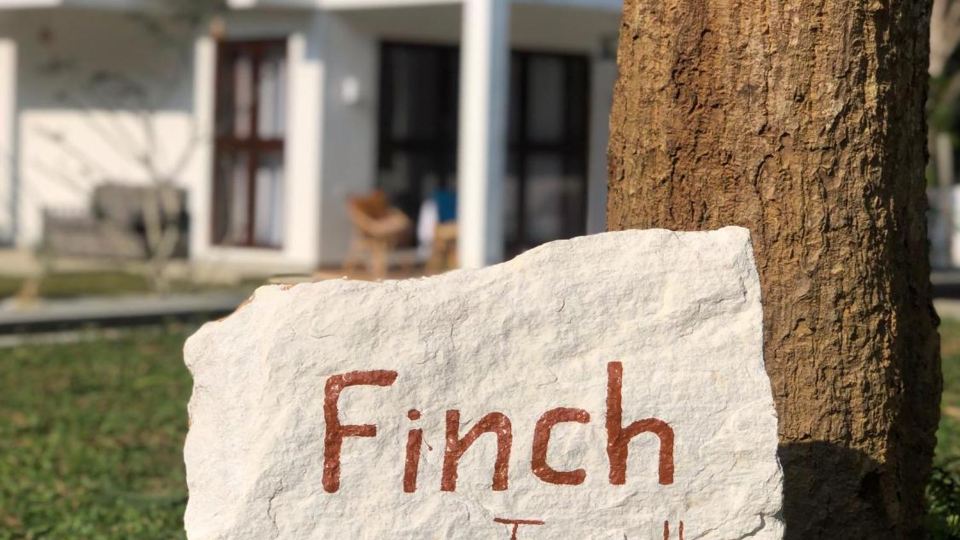 Finch Tangalle