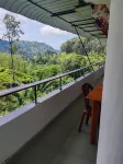 The Tea View Guest Ella