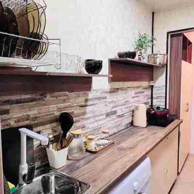 Polar Explorer Others