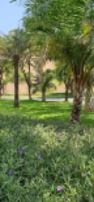 Lobivia Guest House