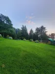 Forest Vibes Kalatop Rooms Restaurant