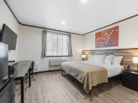 هايبريدج هوتل Hotels near هانكوك بارك