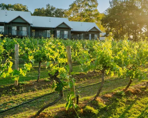Hermitage Lodge Hotels in Pokolbin
