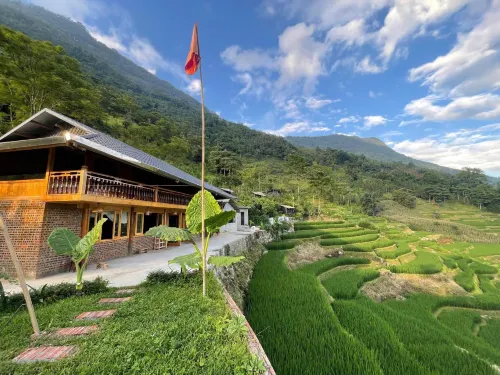 Bees Homestay Sapa & Trekking - Dağ Manzaralı