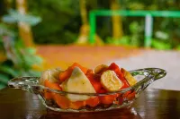 아레날 데스칸소 Chachagua 호텔