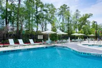 SpringHill Suites Houston the Woodlands - Pools
