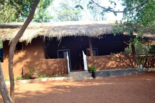Hidden Jungle Village - que admiten mascotas