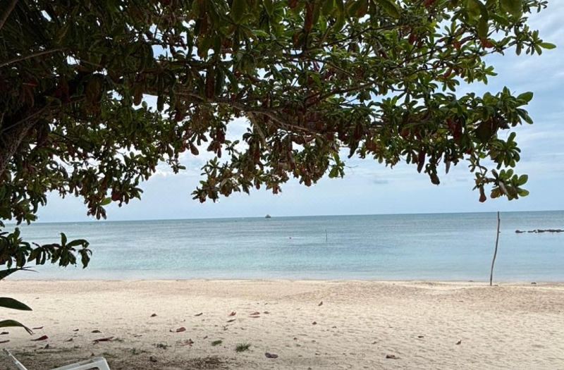 Samui Camping Farm photo 2