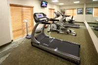 智選假日套房蒙特雷Aeropuerto酒店 - 健身室/gym room