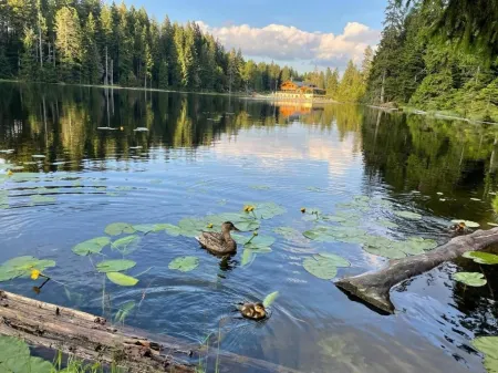 Apartment Taelerblick