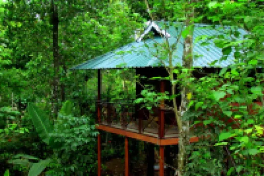Monsoon Retreats by Daan
