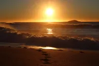 Korora Bay Village Resort - リゾート