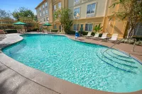 La Quinta Inn & Suites by Wyndham USF (Near Busch Gardens) Hotels in Temple Terrace
