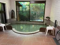 Fuji-Hakone Guest House - vasca da bagno