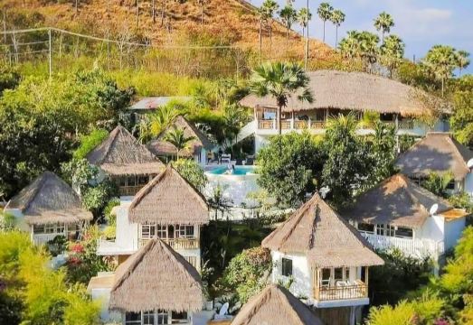 1. 모히니 코모도 ..