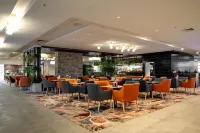 Young Federation Motor Inn and Services Club - Wifi