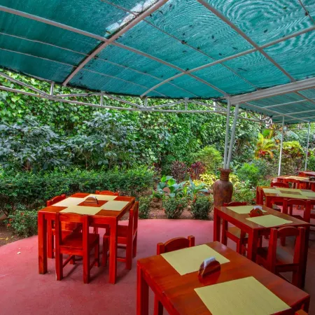 Hotel la Rosa de America