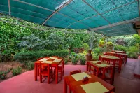 Hotel la Rosa de America