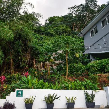 Wild Vanilla Apartment