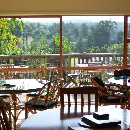 Waitomo Caves Guest Lodge