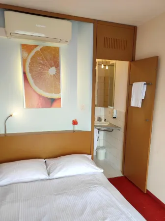 Orange Wings Wiener Neustadt