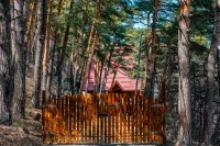 Apartamenti Berd Hotels in 