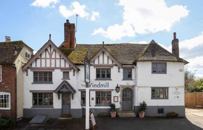 The Windmill