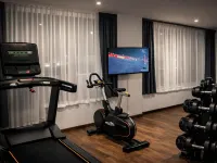 Dormero Hotel Rüsselsheim Airport-Frankfurt - Phòng tập thể hình
