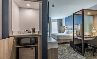 SpringHill Suites Fort Wayne North