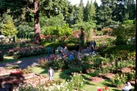 Holiday Inn PORTLAND-AIRPORT (I-205) by IHG Hotels in 