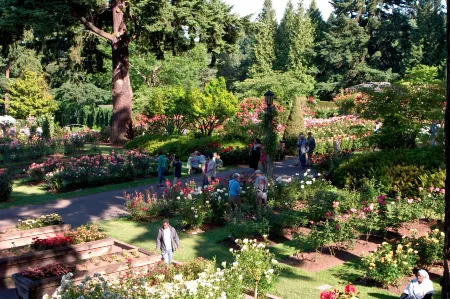 Holiday Inn 波特蘭機場（205）