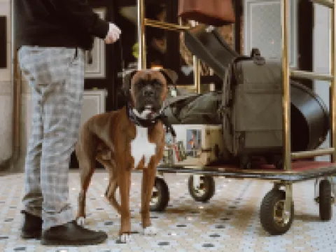 Hotel Indigo GUANAJUATO by IHG فنادق في غواناخواتو