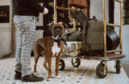 Hotel Indigo GUANAJUATO by IHG