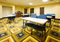 Holiday Inn Express & Suites CHILDRESS by IHG Hotels in Childress