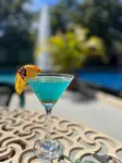 The Palms at Coco Beach - bar