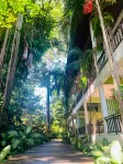 Tree House Hotel - parking