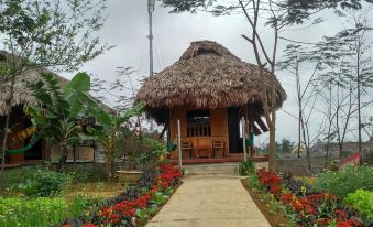 Cuc Phuong Bungalow