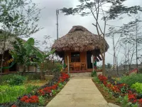 Cuc Phuong Bungalow