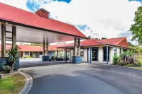 Asure Oak Estate Motor Lodge Hotels in Greytown