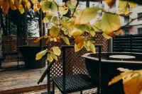 Dombay Winter Hall Hotel Hotels in Dombay