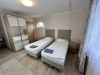 Ushaki Mini-Hotel Hotels in Tosnensky District