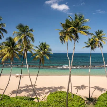 Dorado Beach, a Ritz-Carlton Reserve