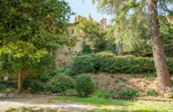 Palazzo Tombesi Trecci