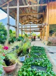 Dinh Sapa Trekking & Homestay - bar