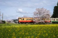 湊乃里 一棟貸切ヴィラ（千葉・市原）｜ペット可・列車ビュー＆BBQ