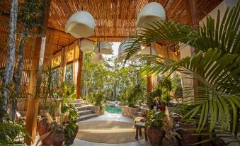Hotel Muaré