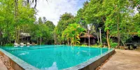 Palm Village Resort & Spa - Resorts