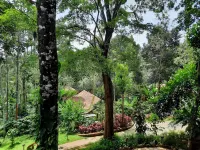 Willow Resorts - Romantic