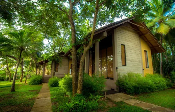 唐加勒棕櫚天堂小屋及別墅海灘度假村