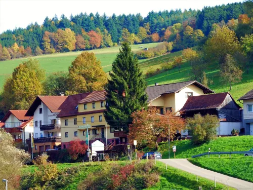 Hotel Gasthof Zur Krone Hotels in Wald-Michelbach